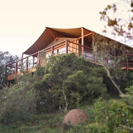 Addo Elephant Lodge & Safaris Kirkwood ภายนอก รูปภาพ