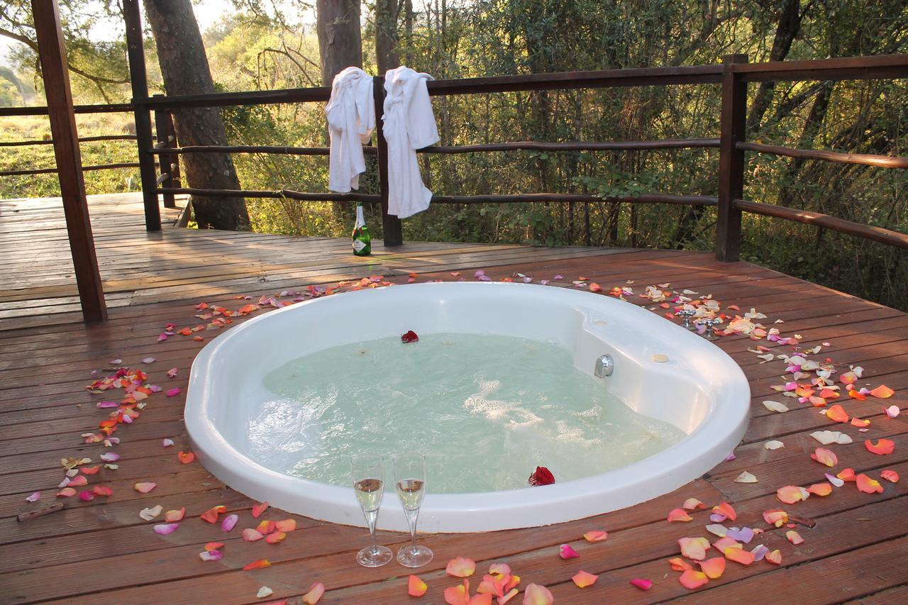 Addo Elephant Lodge & Safaris Kirkwood ภายนอก รูปภาพ