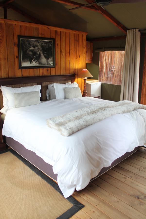 Addo Elephant Lodge & Safaris Kirkwood ห้อง รูปภาพ