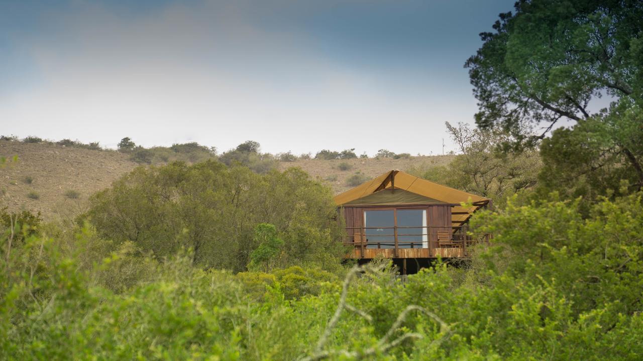 Addo Elephant Lodge & Safaris Kirkwood ภายนอก รูปภาพ