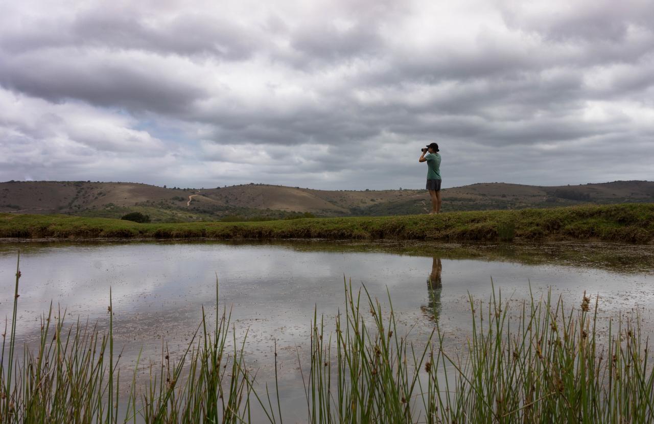 Addo Elephant Lodge & Safaris Kirkwood ภายนอก รูปภาพ