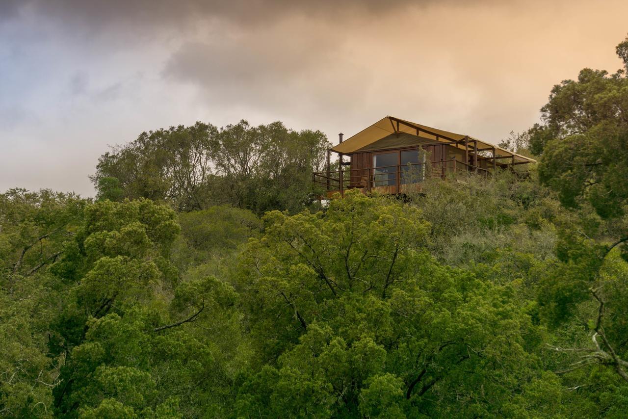 Addo Elephant Lodge & Safaris Kirkwood ภายนอก รูปภาพ