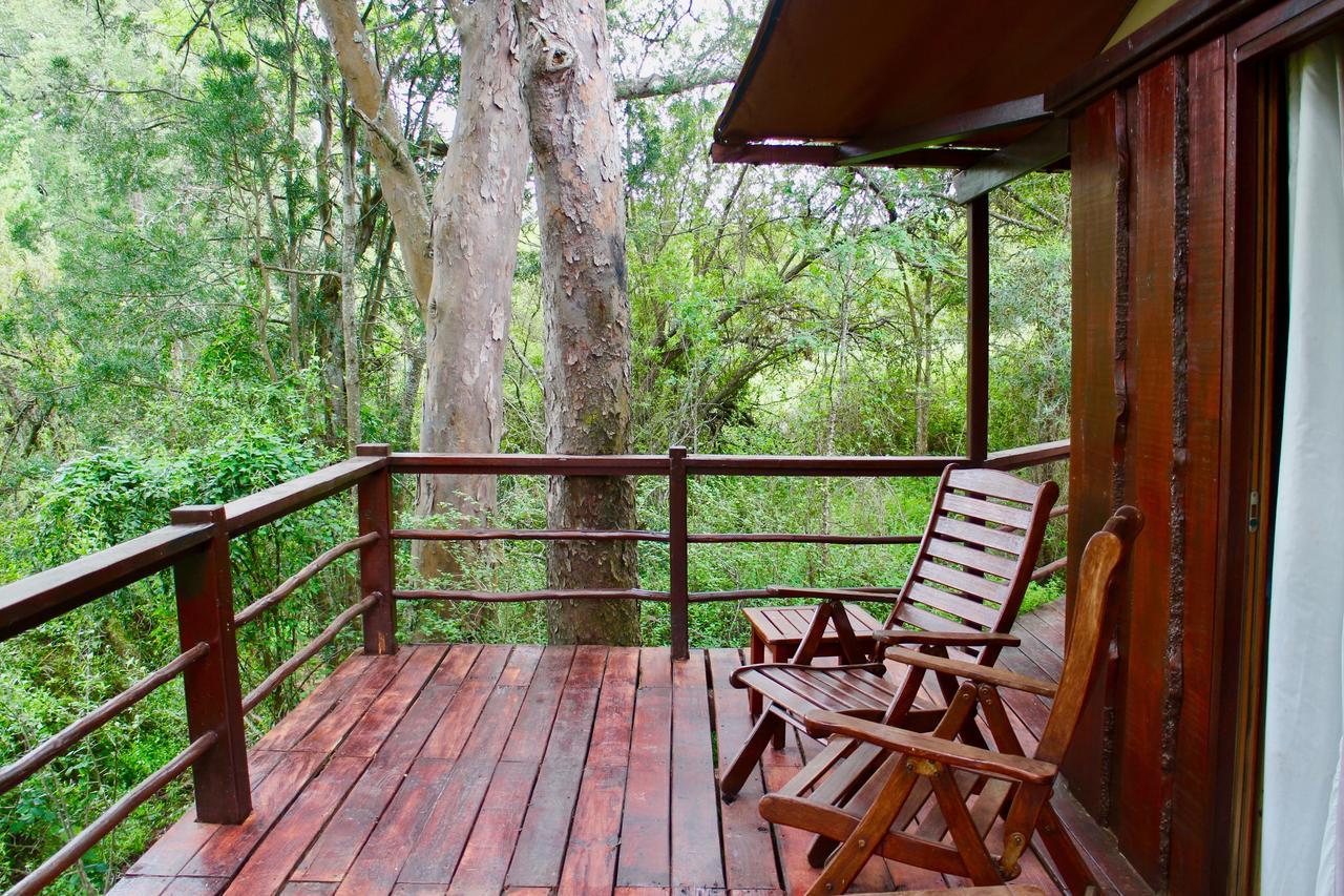 Addo Elephant Lodge & Safaris Kirkwood ภายนอก รูปภาพ