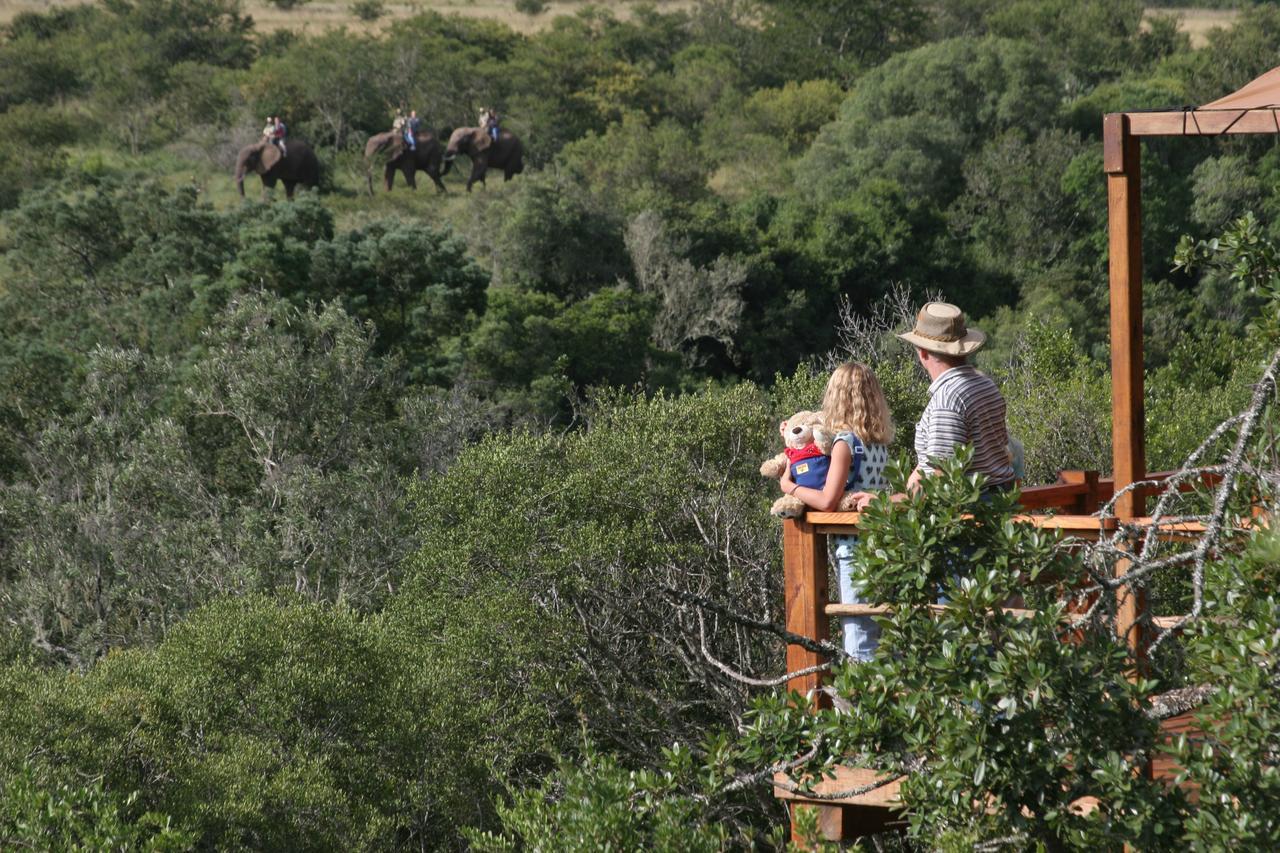 Addo Elephant Lodge & Safaris Kirkwood ภายนอก รูปภาพ