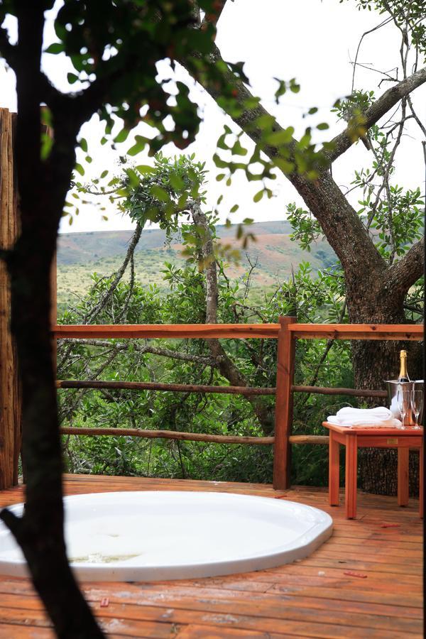 Addo Elephant Lodge & Safaris Kirkwood ภายนอก รูปภาพ